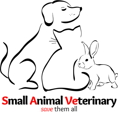 Small Animal VET Demo